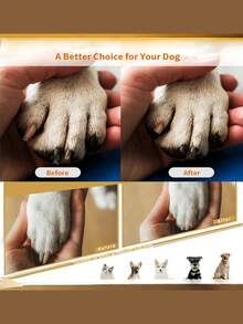 1 pieza Limador de uñas de madera para mascotas, herramienta de aseo para perros, raspador de uñas desmontable para el hogar, abrasivo reemplazable, estilo de primavera a verano - Multicolor - Ver 3