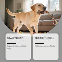 1 buah Semprotan Perawatan Kulit Anjing: Pembersih & Perlindungan Lembut Untuk Penggunaan Dalam/Luar Ruangan, Cocok Untuk Semua Ras - MultiWarna - View 4