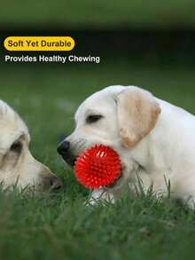 1pc/2pcs/3pcs/4pcs Pet Chew Squeaky Ball Soft TPR Floating Dog Pool Toy, Reduce Anxiety, Fetch Toy, Teeth Cleaning, Interactive Dog Toy, Suitable For Small & Medium Pets, No Battery - Multicolor - View 6