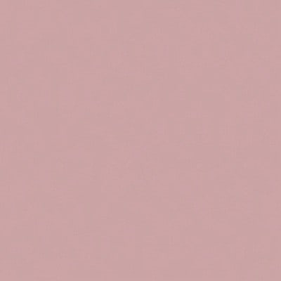 Light Gray Rose