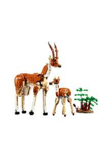 LEGO Creator 3-in-1 Wild Safari Animals Kids 9Years+ 31150 - Multicolor - Ver 3
