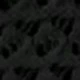 الأسود