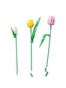 The Botanical Collection Tulip Bouquet Kids 18Years+ 11501 - Multicolor - View 5