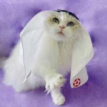 Pet Headband Hat, Handmade Sun Protection & Wind Resistant Headwear For Cat & Dog - Multicolor - View 7