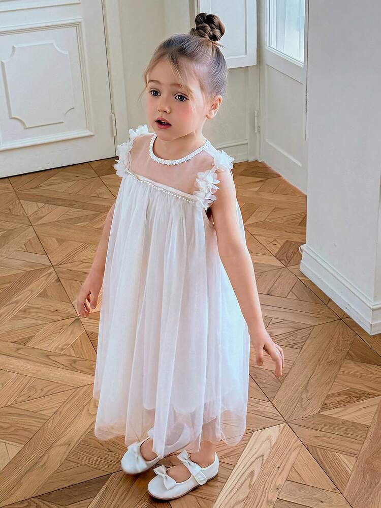 Girls Sleeveless Round Neck Mesh Tulle Dress, Young Girl Fall Clothes