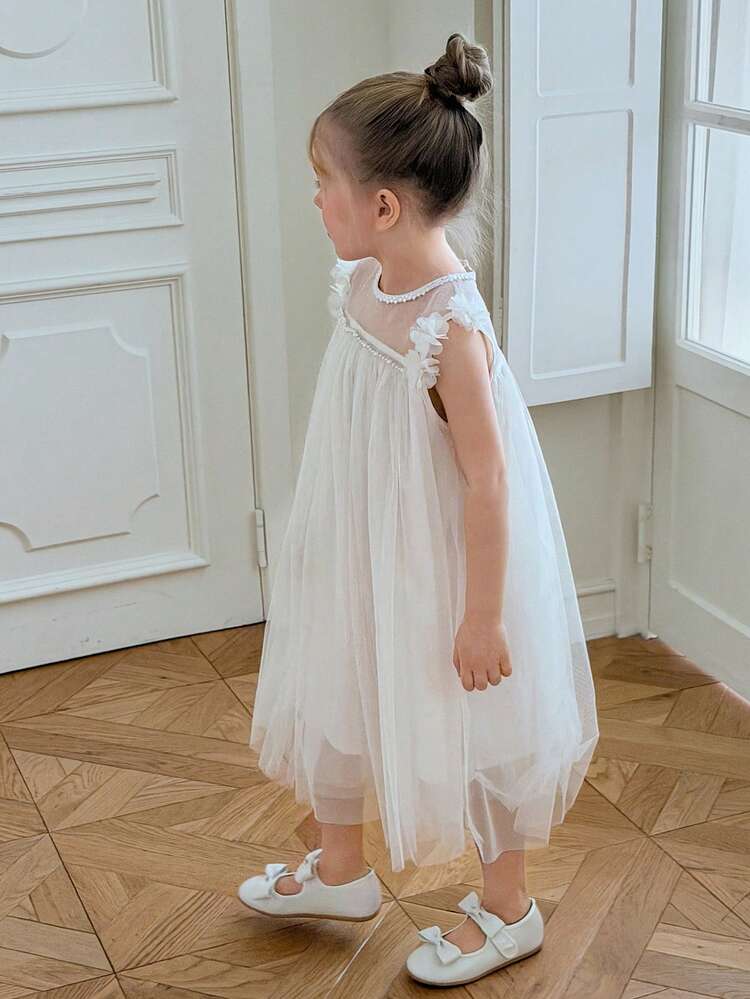 Girls Sleeveless Round Neck Mesh Tulle Dress, Young Girl Fall Clothes
