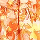 橘色