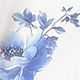 藍白色