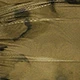 Verde Oliva