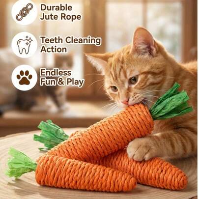 PETSIN 1件宠物用品 - 猫绳玩具、纸绳玩具、胡萝卜猫玩具、猫咪自娱自乐玩具（缓解无聊）、磨爪磨牙玩具