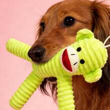 PETSIN Plush Dog Squeaky Toy, Stuffed Armadillo Chew Toy For Dog, Durable Soft Pet Toy Helps Clean Teeth, Interactive Training & Boredom Relief Dog Toys For Small Medium Large All Breed Dog - Multicolor - View 12