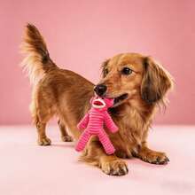 PETSIN Plush Dog Squeaky Toy, Stuffed Armadillo Chew Toy For Dog, Durable Soft Pet Toy Helps Clean Teeth, Interactive Training & Boredom Relief Dog Toys For Small Medium Large All Breed Dog - Multicolor - View 10