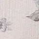 彩色