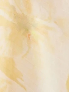 Revavyn 法式优雅女士浪漫扎染印花深V领收腰连衣裙，配超大褶裥下摆，无袖设计，适合约会和度假穿着。 - 黃色 - 查看 7