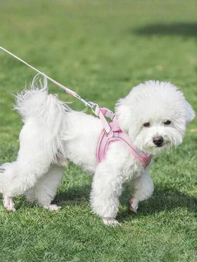 1 chiếc áo vest đeo cổ cho chó và mèo, dây đeo ngực và lưng, dây dẫn phản quang để dắt mèo đi dạo, đồ dùng cho thú cưng.