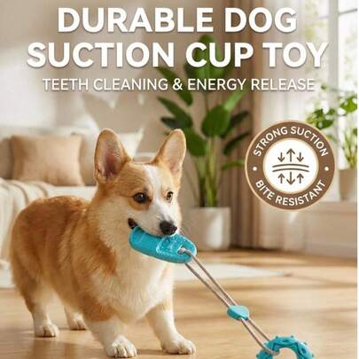 PETSIN 1件宠物用品：吸盘拖鞋、咀嚼玩具、咀嚼球、解闷用品、自娱用品、中型犬食用用品、狗狗咀嚼玩具。