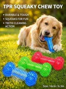 PETSIN 1 pieza Juguete para mascotas de TPR - Hueso de perro con púas para limpieza dental - Multicolor - Ver 6