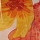 彩色