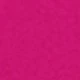Rosa Fucsia
