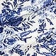 Blue and White