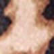 leopard print