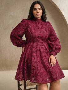 Anewsta Women's Spring Stand Collar Lantern Sleeve Waist Cinching Sheer Mesh Cashew Flower Embroidery Elegant Party Mini Dress - Burgundy - View 6