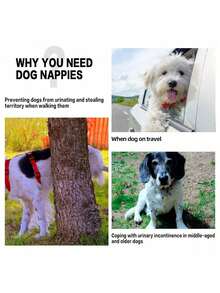 2PCS Belly Bands For Male Dogs Mesh Lining Small Dog Belly Wrap Leakproof Washable Reusable Puppy Diapers S,M,L,XL - Multicolor - View 4