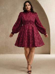 Anewsta Women's Spring Stand Collar Lantern Sleeve Waist Cinching Sheer Mesh Cashew Flower Embroidery Elegant Party Mini Dress - Burgundy - View 5