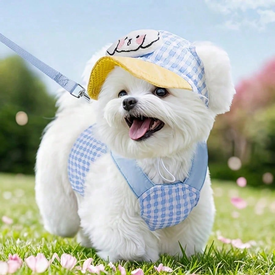 Set Arnés de perro con correa y capucha, ajustable y lavable para perros y gatos pequeños/medianos