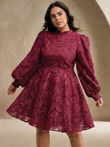 Anewsta Women's Spring Stand Collar Lantern Sleeve Waist Cinching Sheer Mesh Cashew Flower Embroidery Elegant Party Mini Dress - Burgundy - View 1