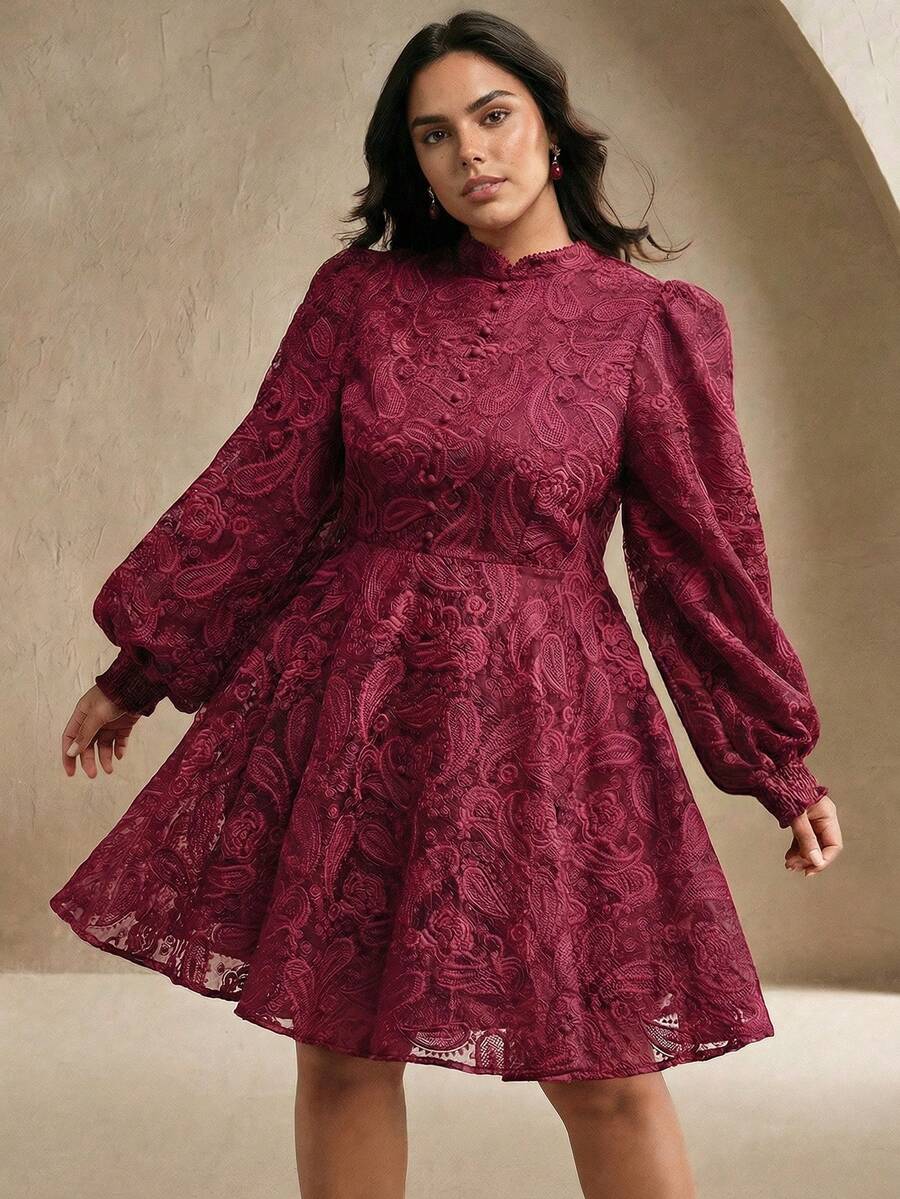 Anewsta Women's Spring Stand Collar Lantern Sleeve Waist Cinching Sheer Mesh Cashew Flower Embroidery Elegant Party Mini Dress - Burgundy - View 1