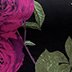 玫紅色
