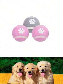 Dog Toy Footprints Pattern Elastic Ball Toys, Used For Training And Interactive Pet Toys - Multicolor - View 7