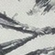 黑與白
