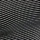 Black and White