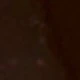 قهوة بني