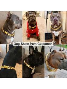 Collar de perro de acero inoxidable de alta resistencia con hebilla de bloqueo, collar de entrenamiento de cadena cubana dorada, collar de metal para mascotas. - Dorado - Ver 7