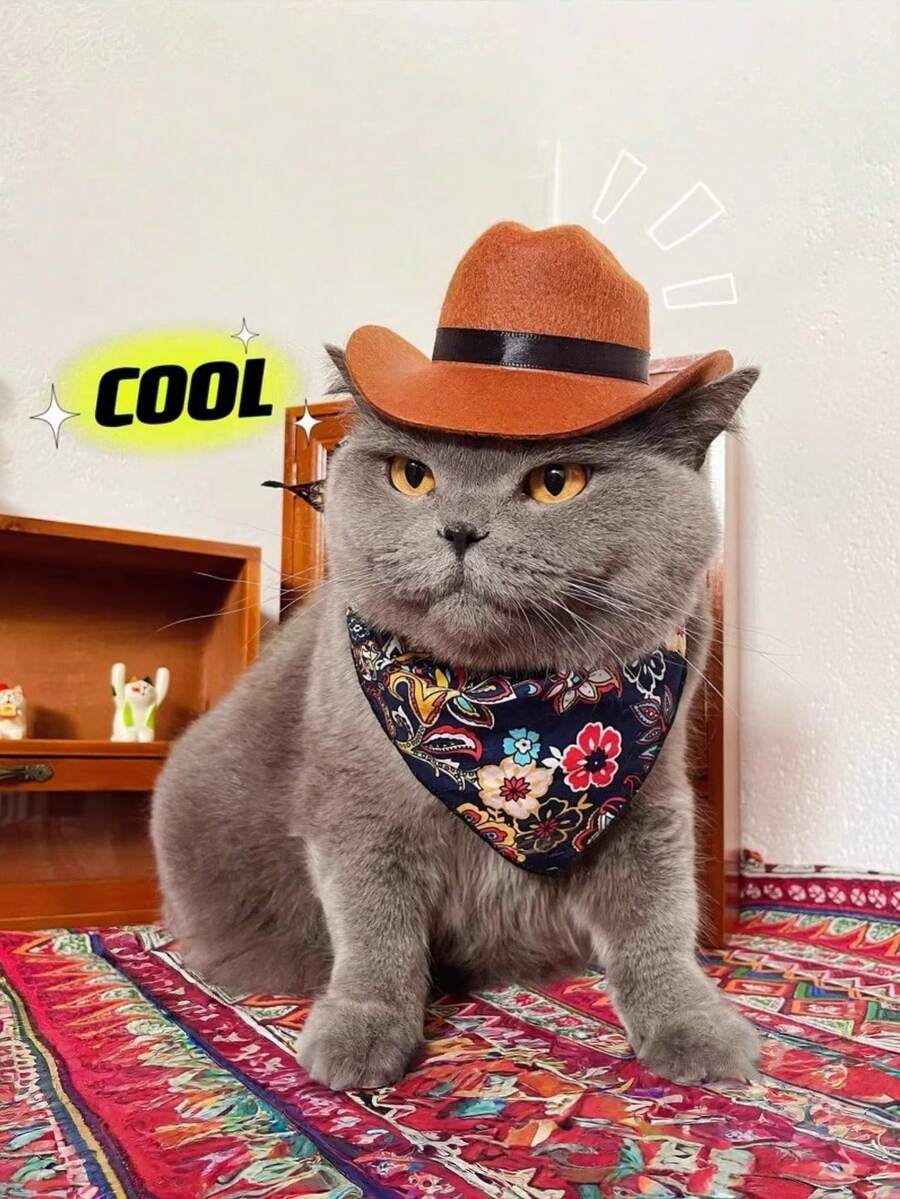宠物西部牛仔帽,时尚毛毡德比帽,适合猫咪和小型犬,复古骑士宽檐帽,拍照道具遮阳帽,适合小猫小狗,可调节下巴带,适合英国短毛吉娃娃,趣味动物派对服装配饰 - 彩色 - 查看 1
