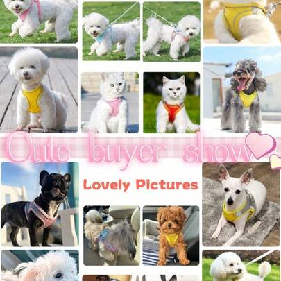 1 Set Breathable And Comfortable Mesh Dog Carrier Vest, Strong Wrapping And Reflective Stripes