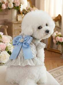 PETSIN 1件宠物优雅蕾丝连衣裙，饰有水钻蝴蝶结，公主风猫狗服装，荷叶边领口和袖口，通用公主风猫狗服装 - 灰色 - 查看 2