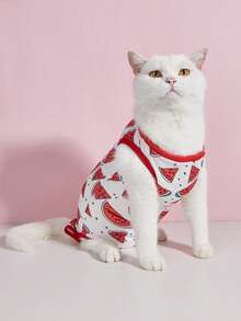 1pc Soft And Thin Cat Spay & Neuter, Weaning Recovery Outfit, Flexible 4-Leg Design To Prevent Licking, Warm - Red - View 6