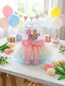 PETSIN 1件宠物兔刺绣公主薄纱连衣裙，适合猫狗穿着，彩虹蓬蓬裙，轻盈透气，饰有缎带蝴蝶结，是复活节、生日派对和日常穿着的完美之选。 - 彩虹色 - 查看 4