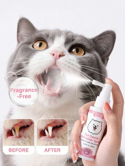 PETSIN 猫咪牙齿清洁清新喷雾 | 兽医推荐，无味，无需刷牙，适用于猫咪和幼猫 | 2.03 液盎司 (60毫升)