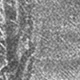رمادي