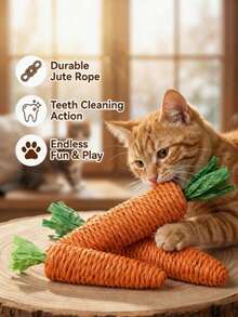 PETSIN 1件宠物用品 - 猫绳玩具、纸绳玩具、胡萝卜猫玩具、猫咪自娱自乐玩具（缓解无聊）、磨爪磨牙玩具 - 橘色 - 查看 1
