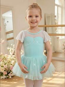 Robe de tutu de ballet pour jeunes filles, tissu vert clair à haute élasticité pour le printemps/été, manches volantées pour un look léger, jupe en tulle avec un éclat nacré, élégante et fraîche pour le port quotidien, les représentations de ballet et les pratiques - Vert menthe - Voir 9