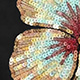 Multicolor