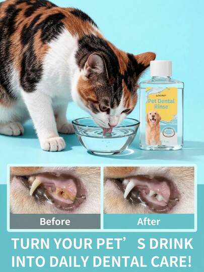 PETSIN Pet Dental Water Additive For Dogs & Cats | Plaque & Tartar Remover, Freshens Breath, Supports Healthy Gems & Teeth | Vet-Recommended Formula, 80ml (2.71 Fl Oz)