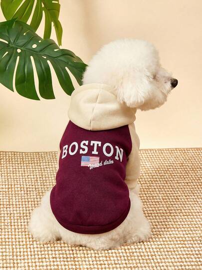 PETSIN 1 Pet Dog Cat College Style Letter Printed Patchwork Hooded Sweatshirt In Vintage Colors