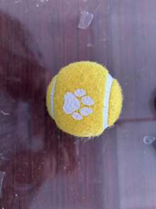 Dog Toy Footprints Pattern Elastic Ball Toys, Used For Training And Interactive Pet Toys - Multicolor - View 15